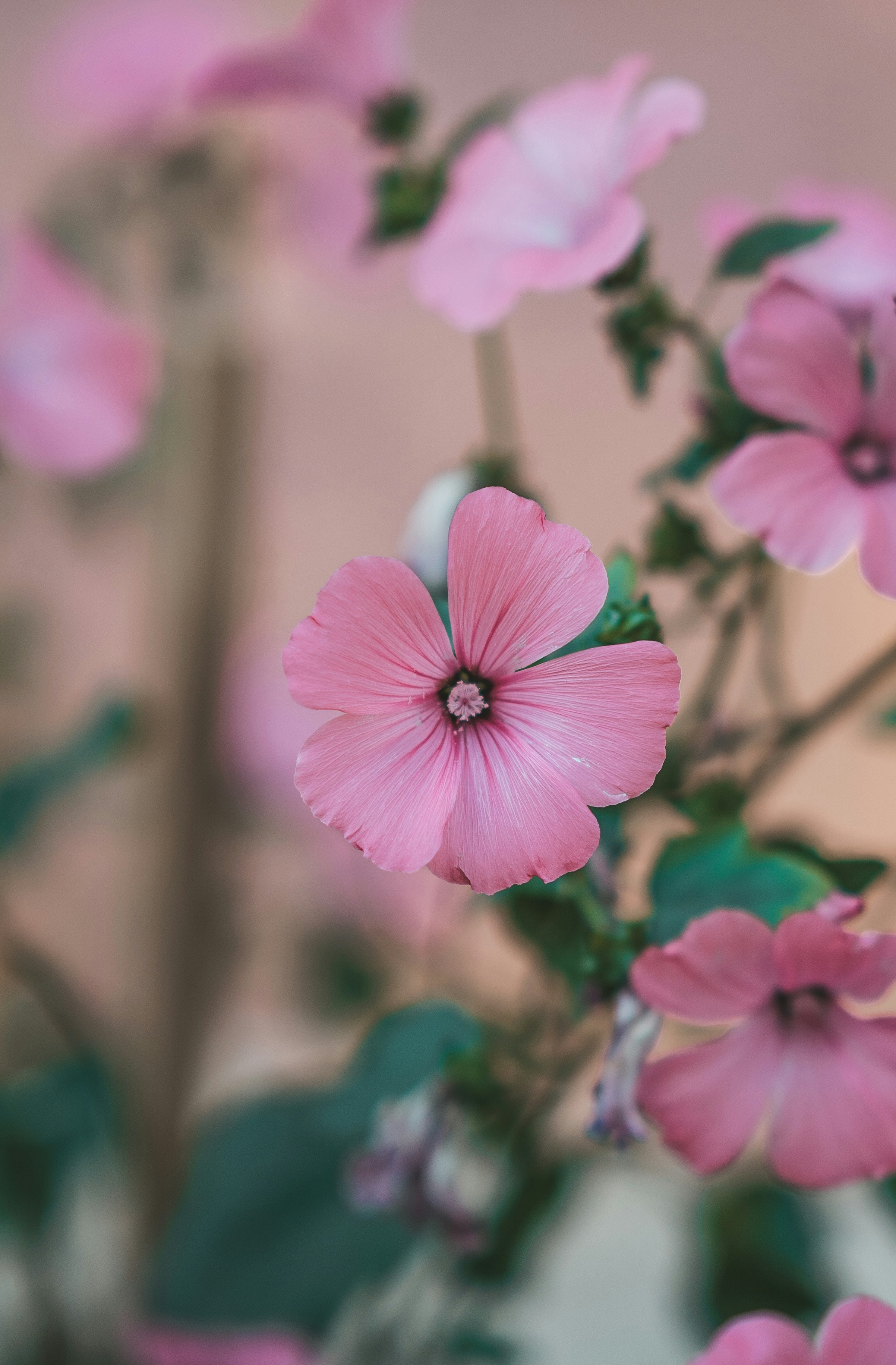 Photo by anamnesis33