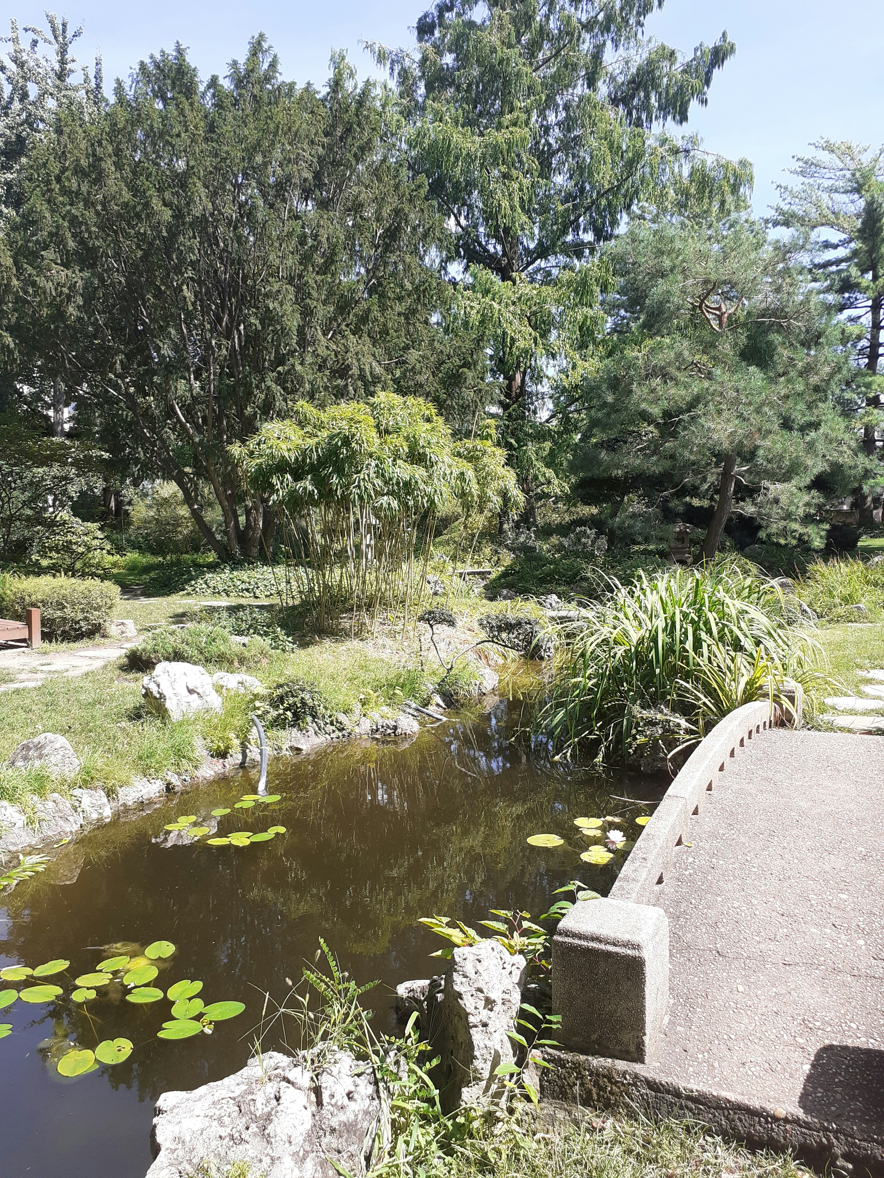 Photo by zsofiahajnal