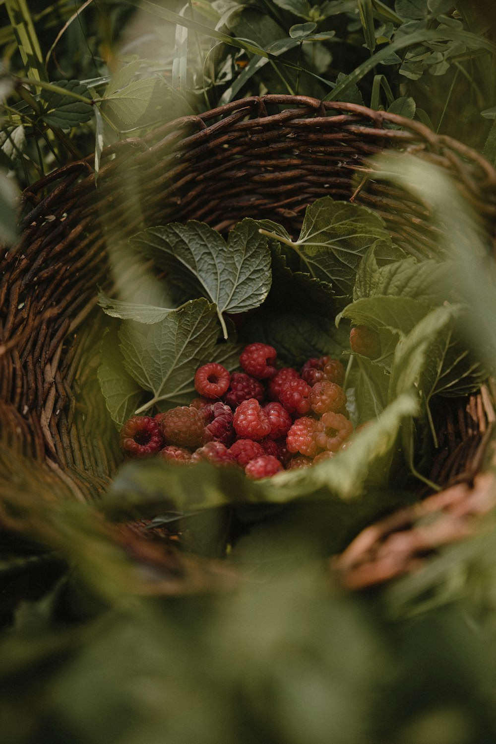 a basket filled with raspberries surrounded by leaves