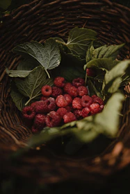 Rustic basket filled with fresh cacao pods and açaí berries on a wooden table.