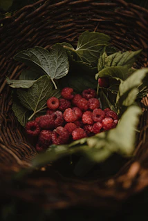 Rustic basket filled with fresh cacao pods and açaí berries on a wooden table.