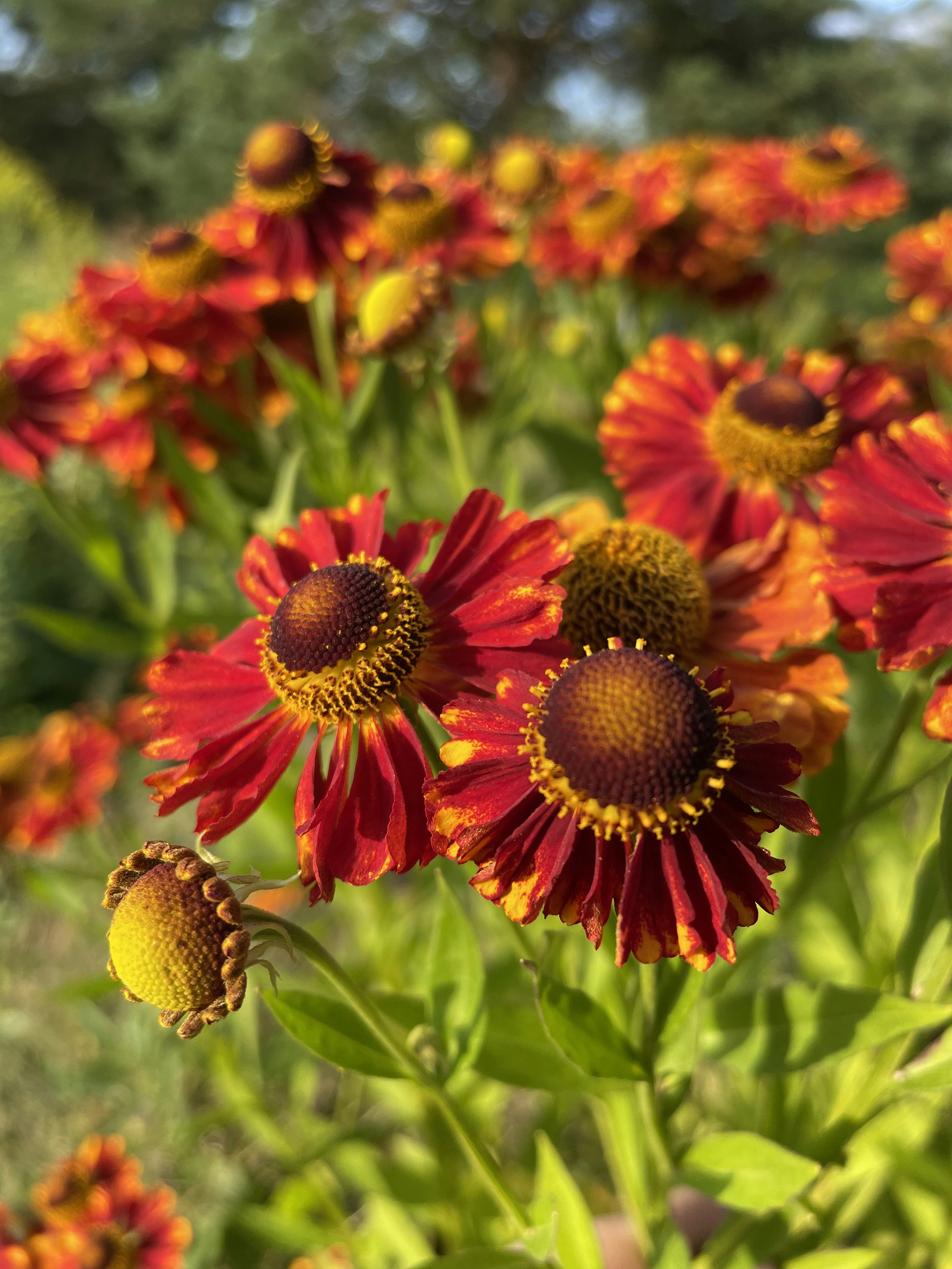 Photo by tashakostyuk