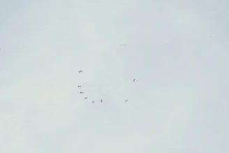 A vibrant aerial shot of skydivers freefalling in formation against a bright blue sky.