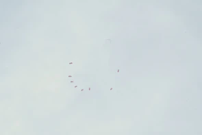 Colorful parachutes opening against a deep navy sky during a group jump.