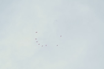A formation of red parachute canopies arranged in the sky against a pale blue background, likely a group of skydivers performing a coordinated maneuver.