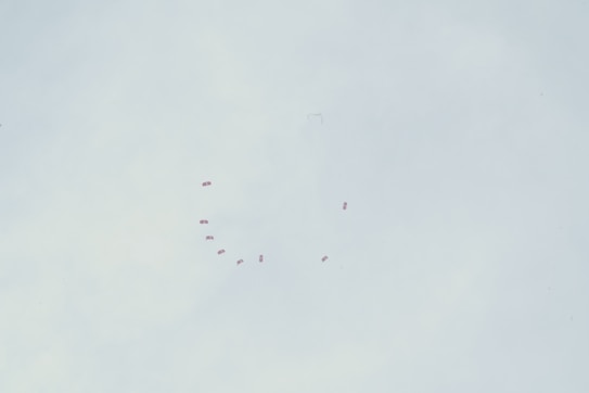 A formation of red parachute canopies arranged in the sky against a pale blue background, likely a group of skydivers performing a coordinated maneuver.