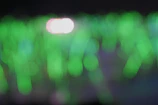 Vibrant social media campaign visuals glowing with cinematic emerald lighting.