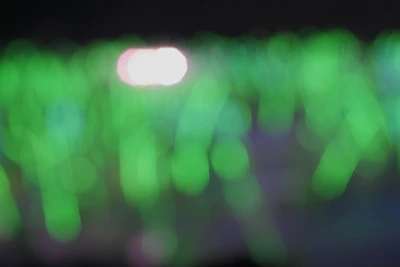 Vibrant social media campaign visuals glowing with cinematic emerald lighting.