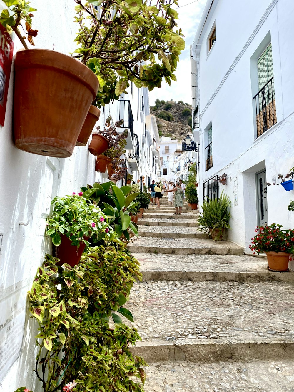 a bunch of potted plants on the side of a building