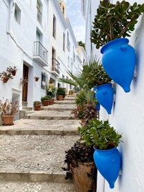 a set of steps with potted plants on each of them