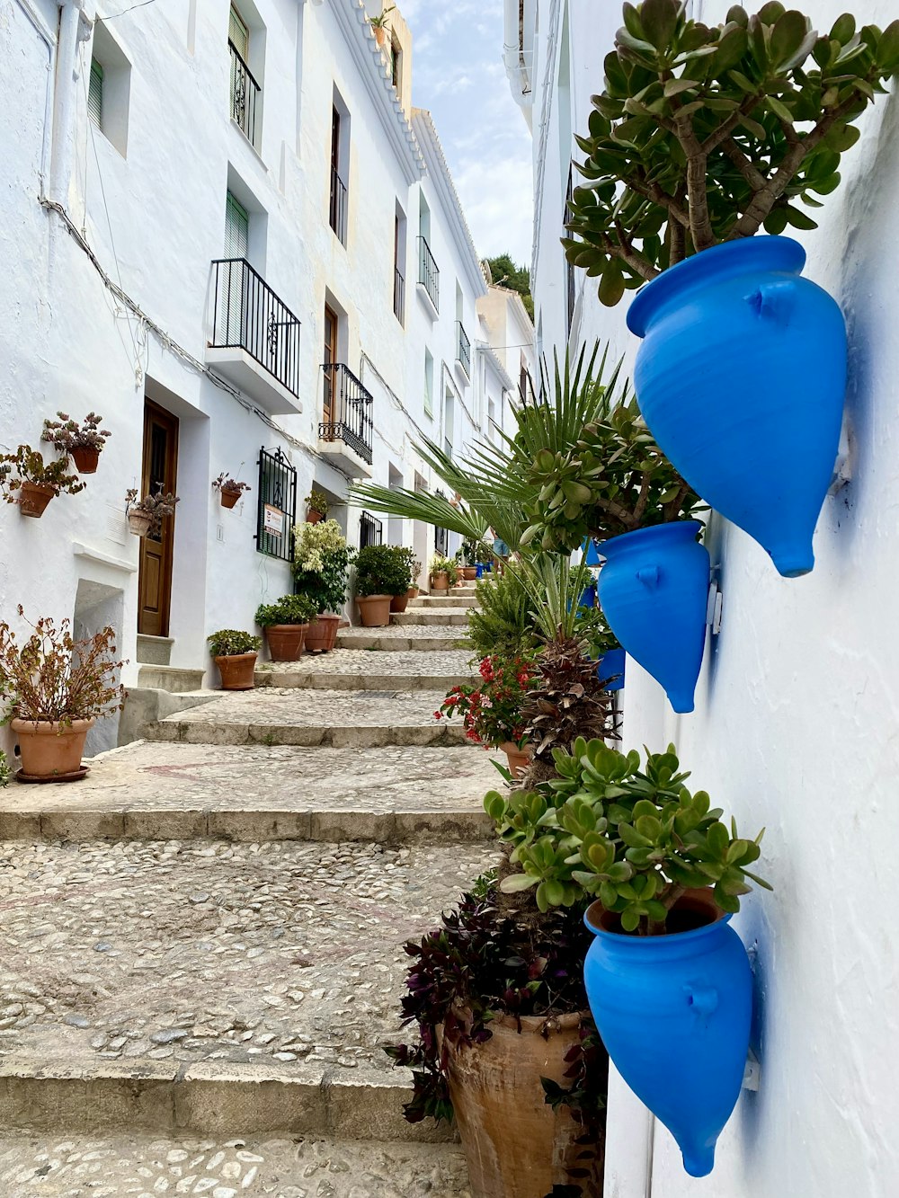 a set of steps with potted plants on each of them