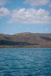 A scenic view of solar panels and wind turbines in harmony.