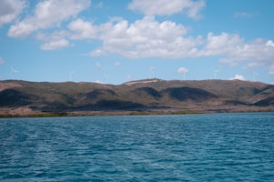 A serene landscape featuring renewable energy sources like wind turbines and solar panels.