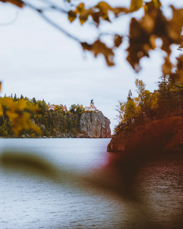 a large body of water surrounded by trees