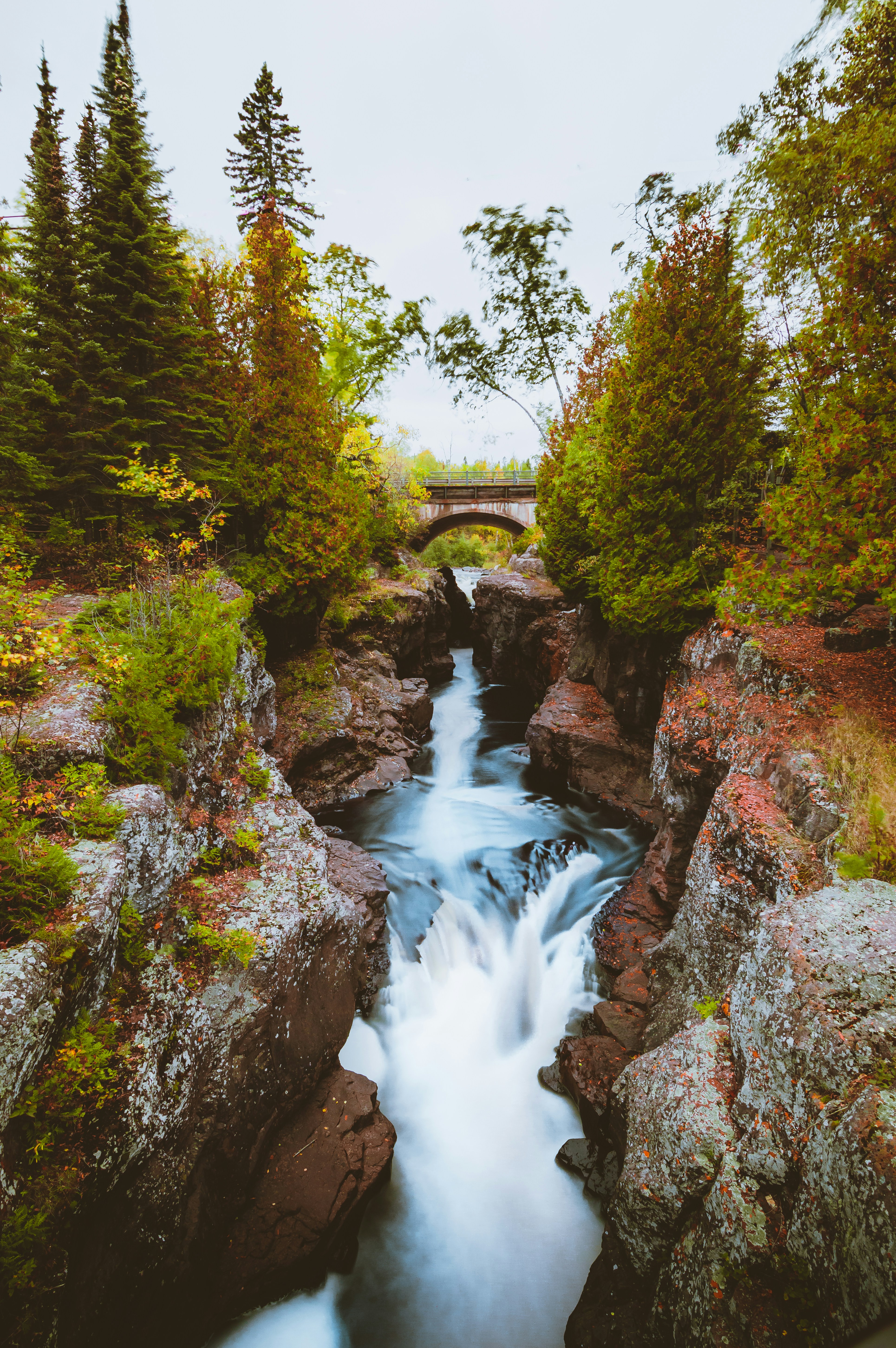 a river running through a lush green forest