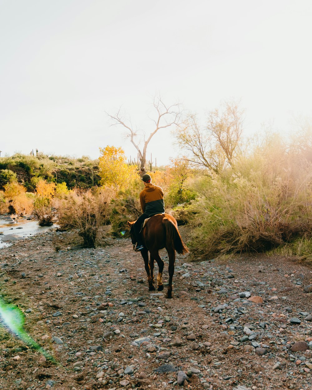 a man riding a horse down a dirt road