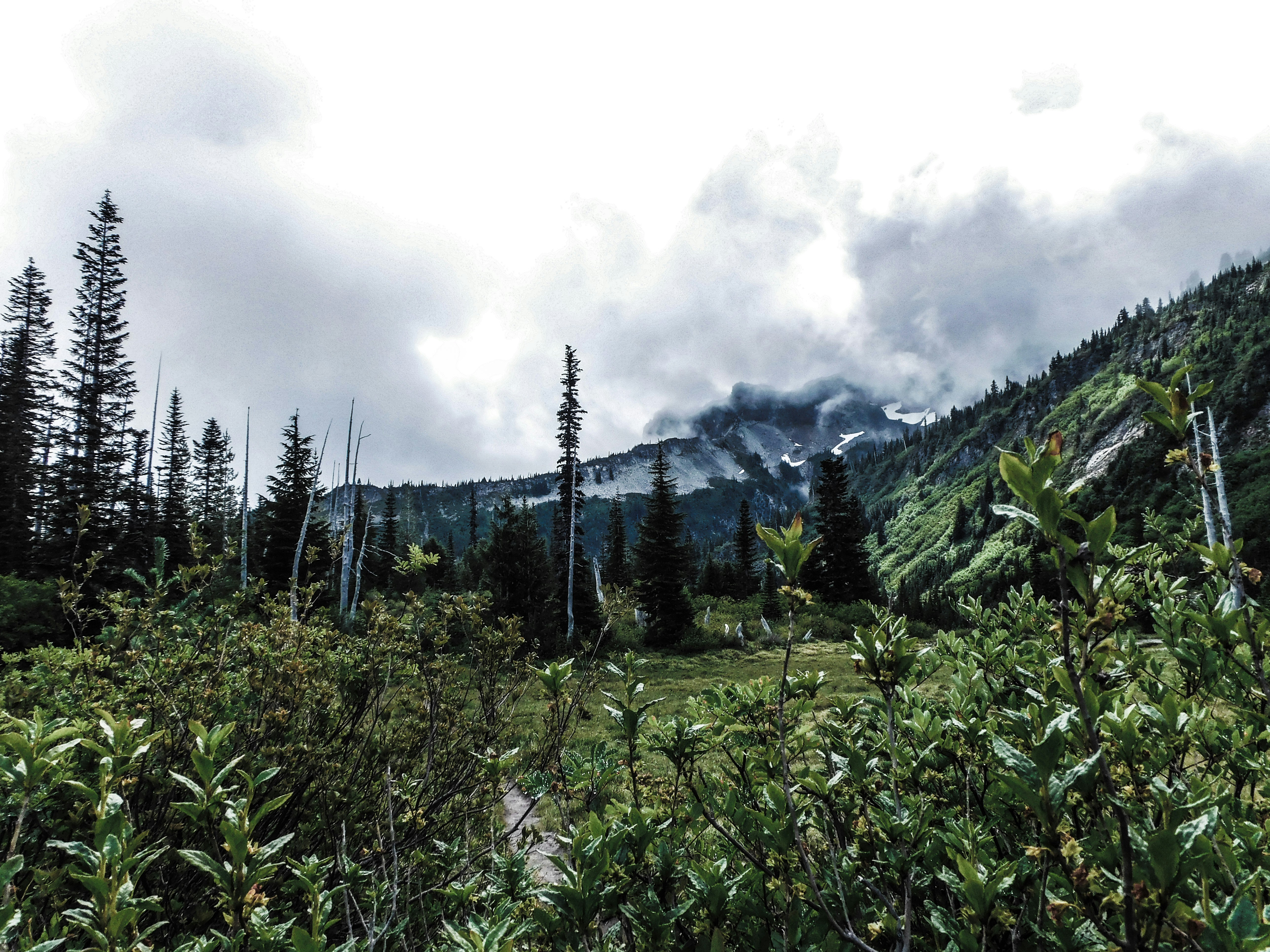 Photo by prphotography262