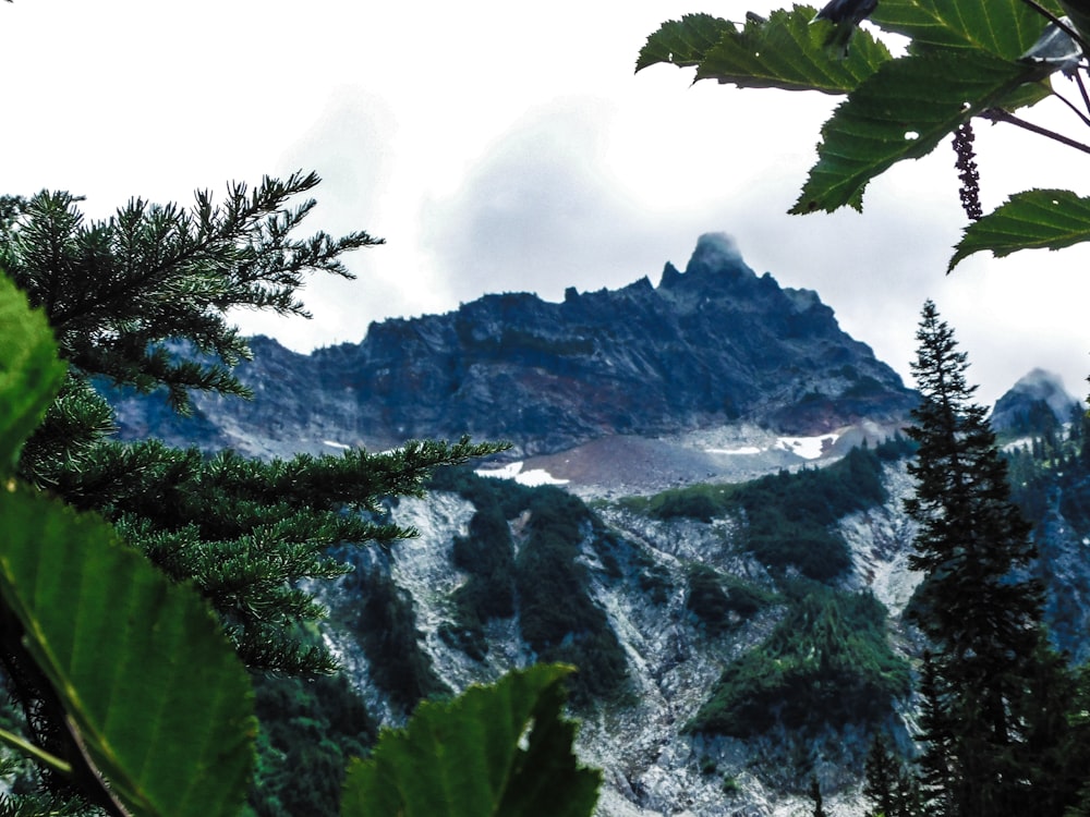 a view of a mountain through the leaves of a tree