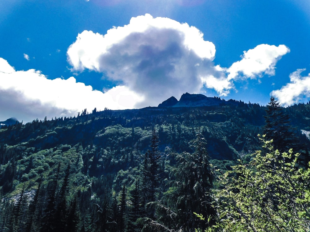 a mountain with trees and clouds in the sky
