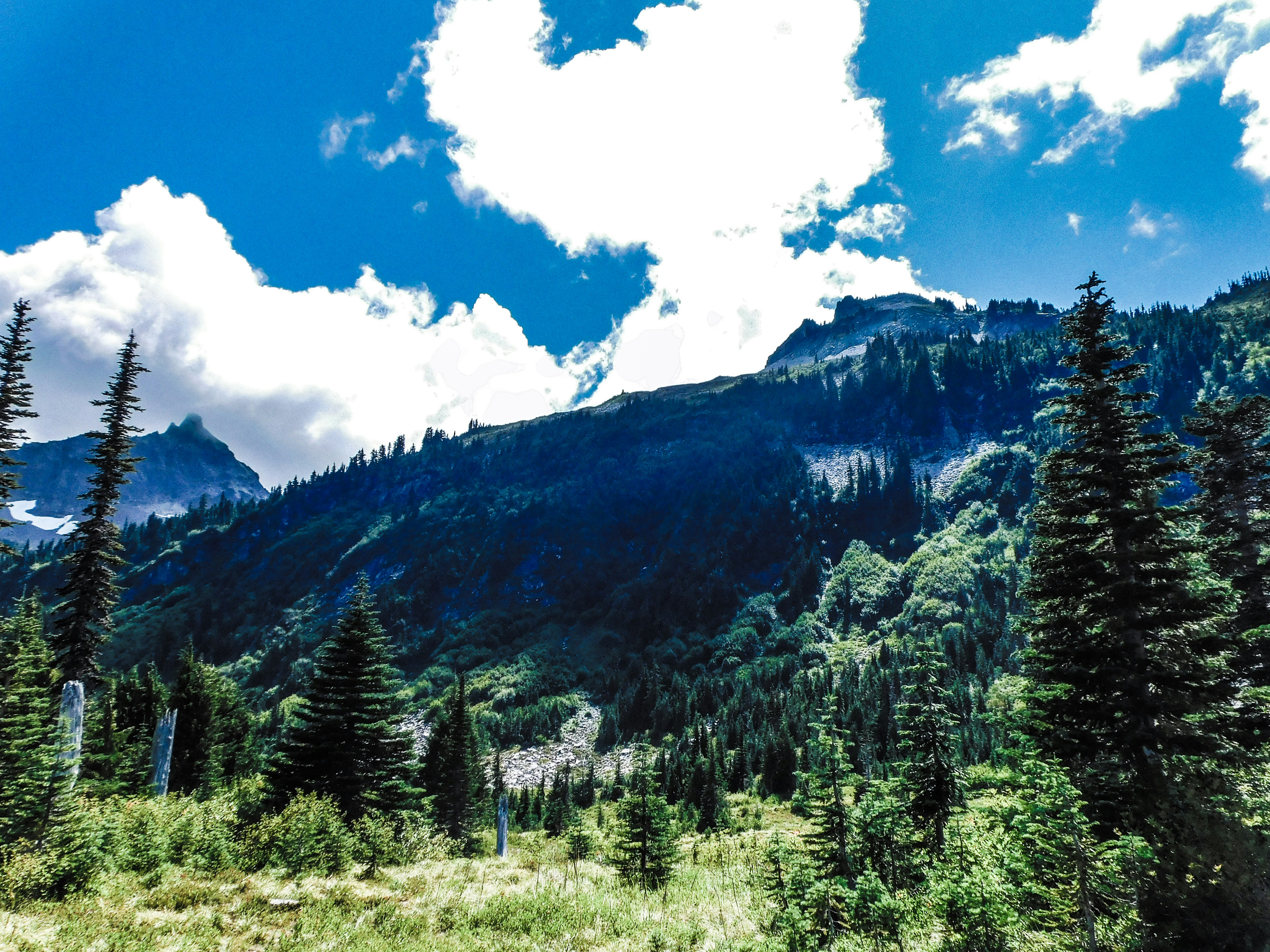 Photo by prphotography262