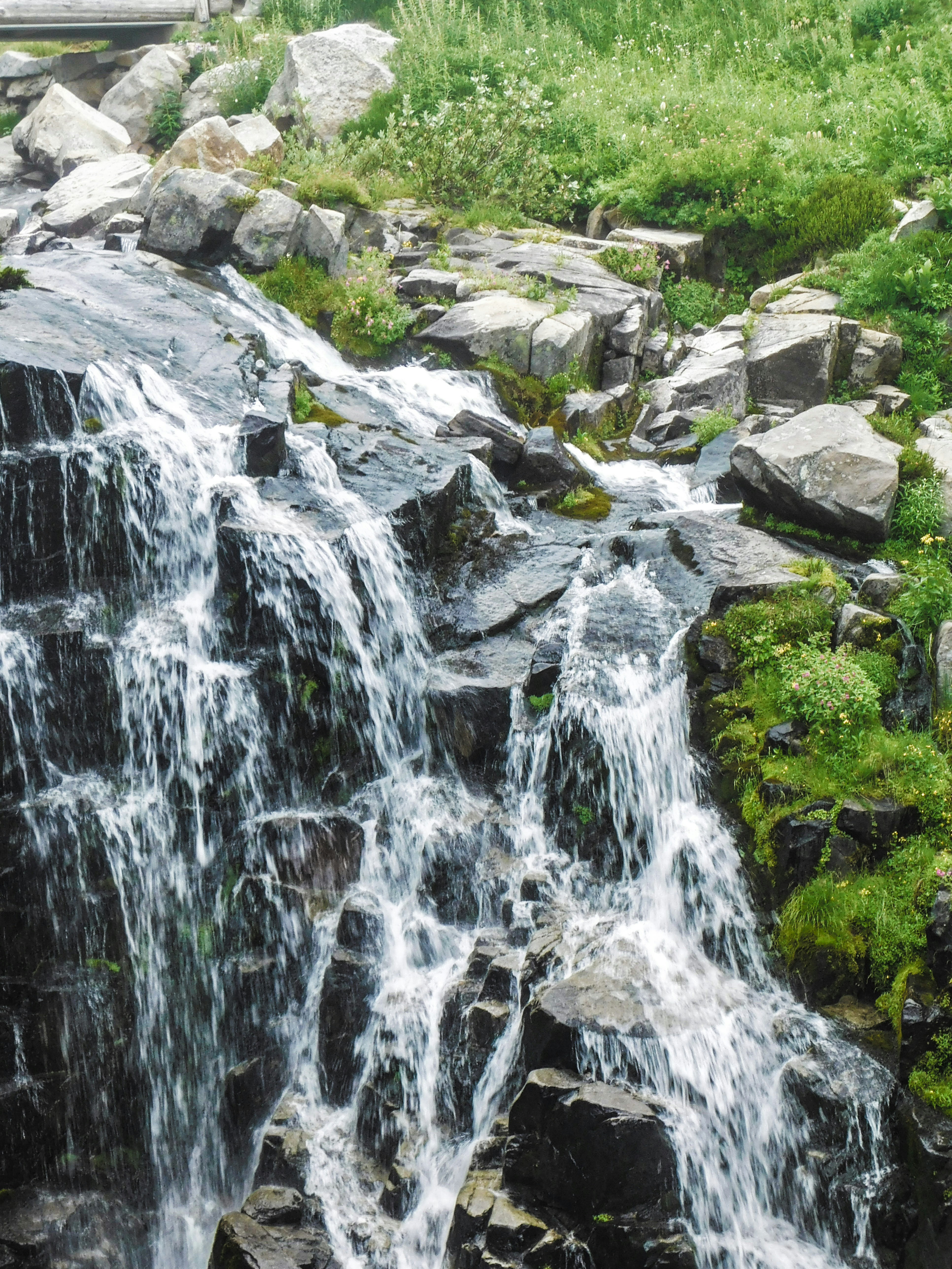 Photo by prphotography262