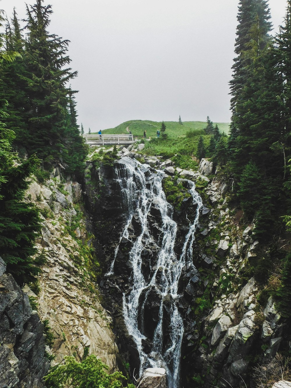 Una cascada en medio de un bosque