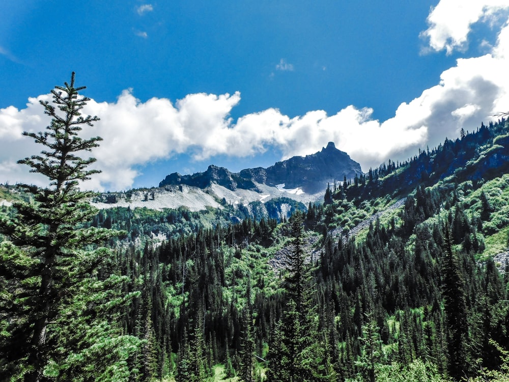 a view of a mountain range with trees in the foreground