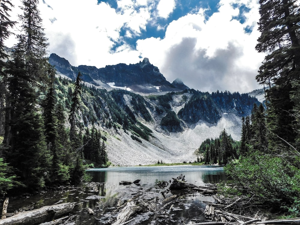 a view of a mountain lake surrounded by trees