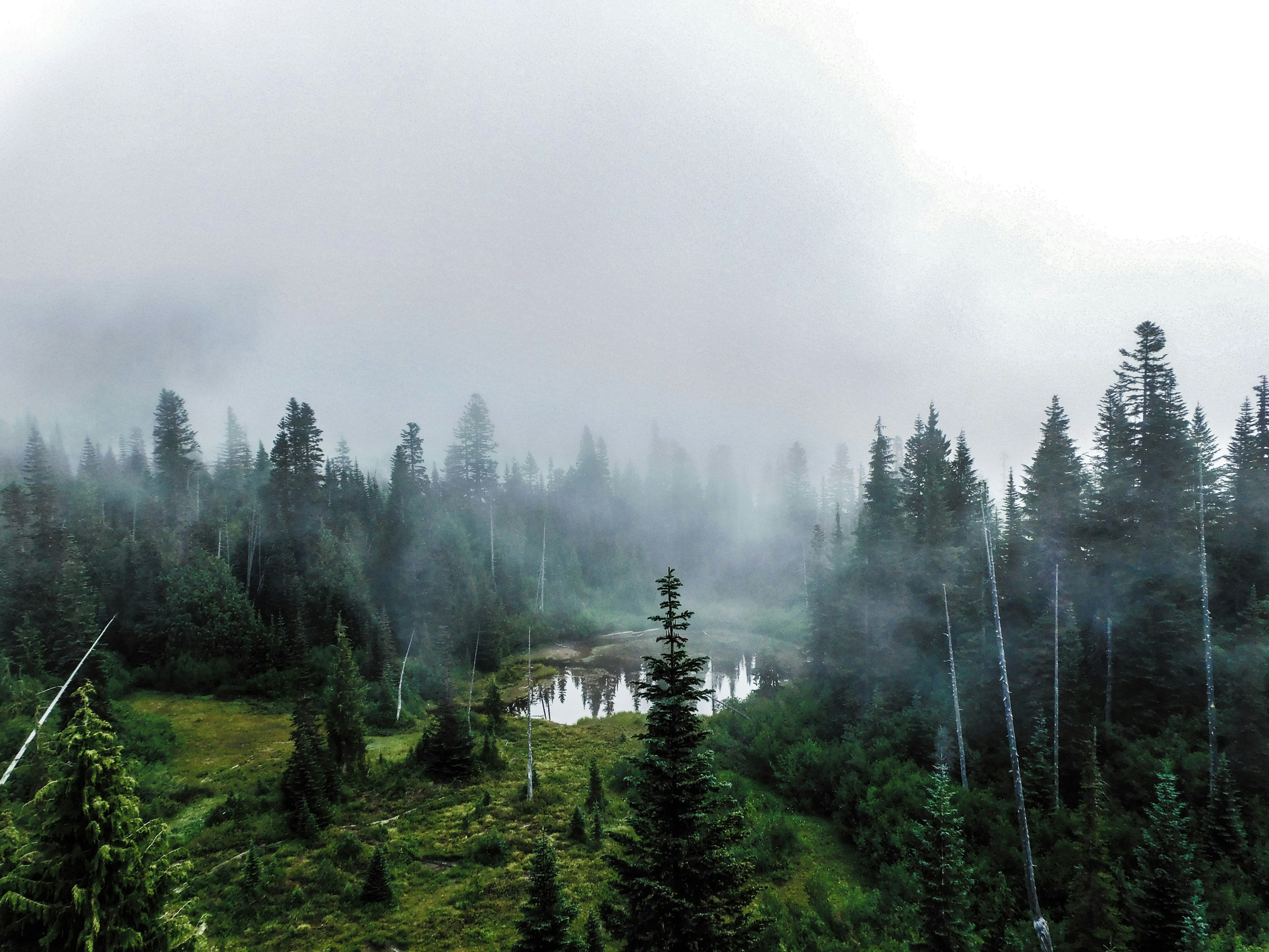 Photo by prphotography262