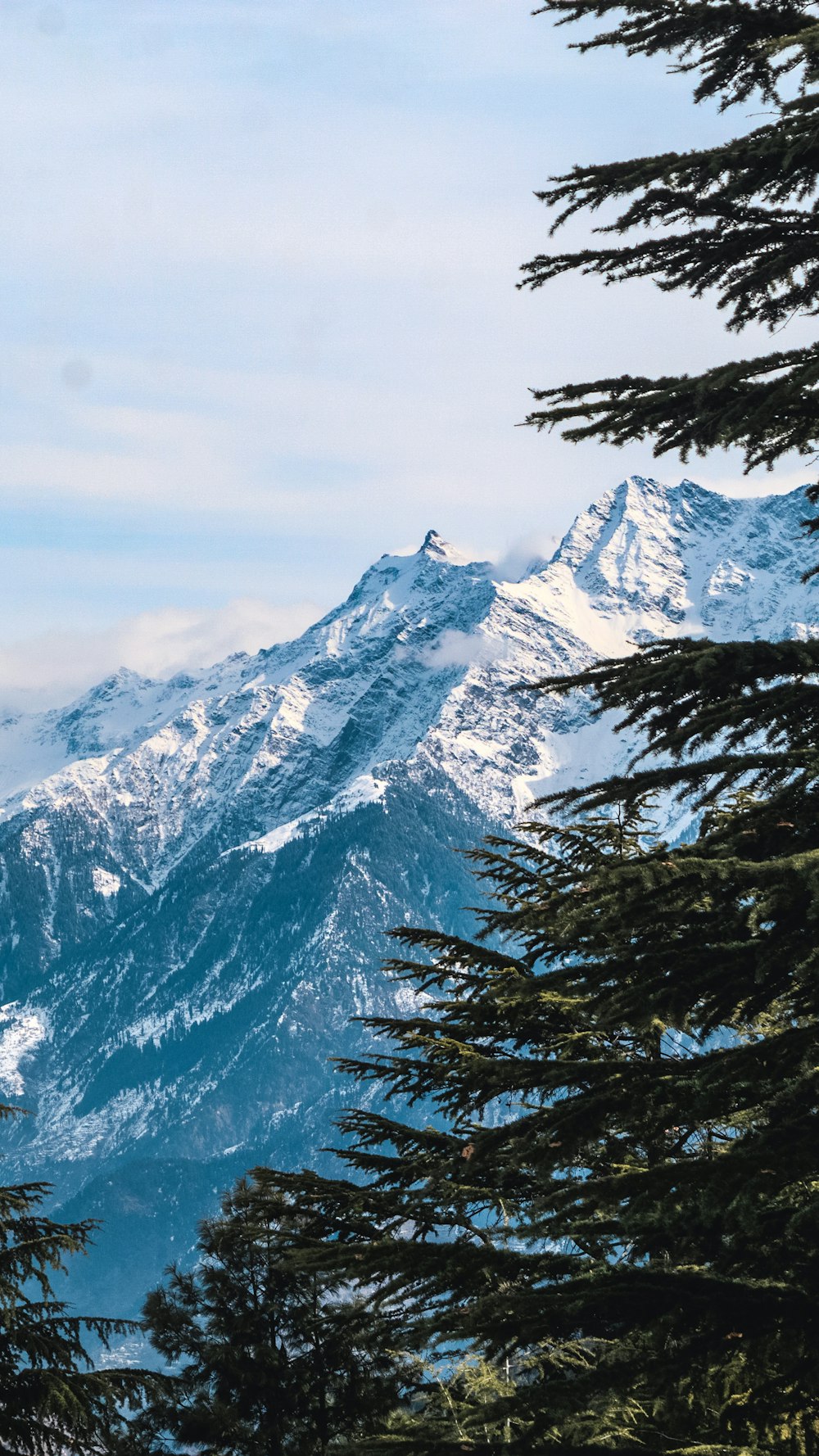 a view of a snow covered mountain through some trees