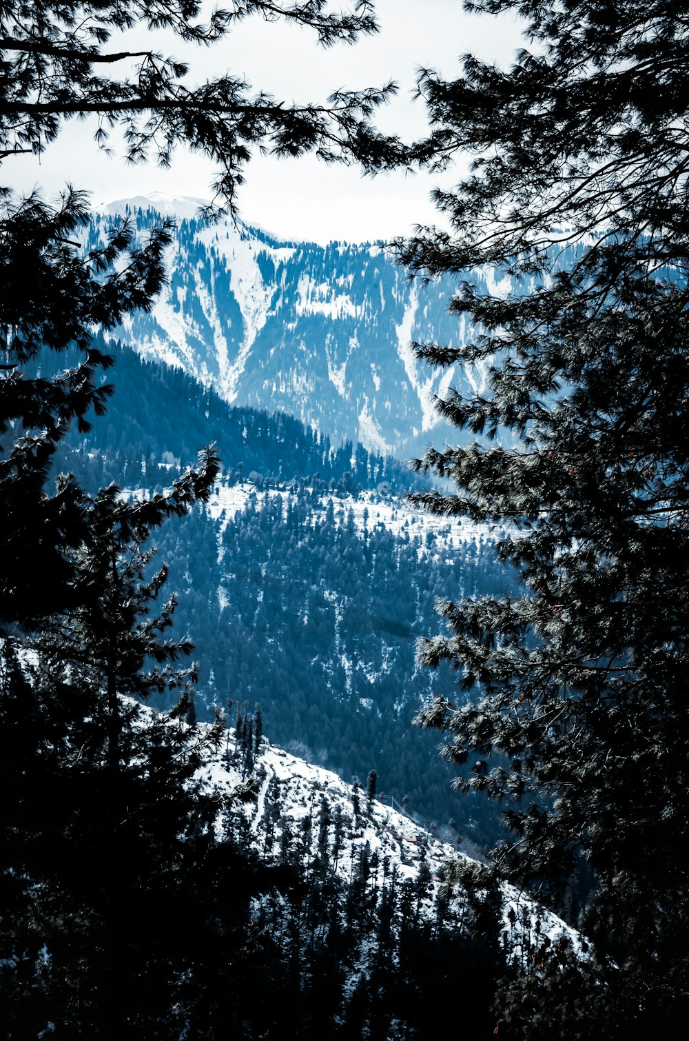 a view of a snowy mountain through some trees