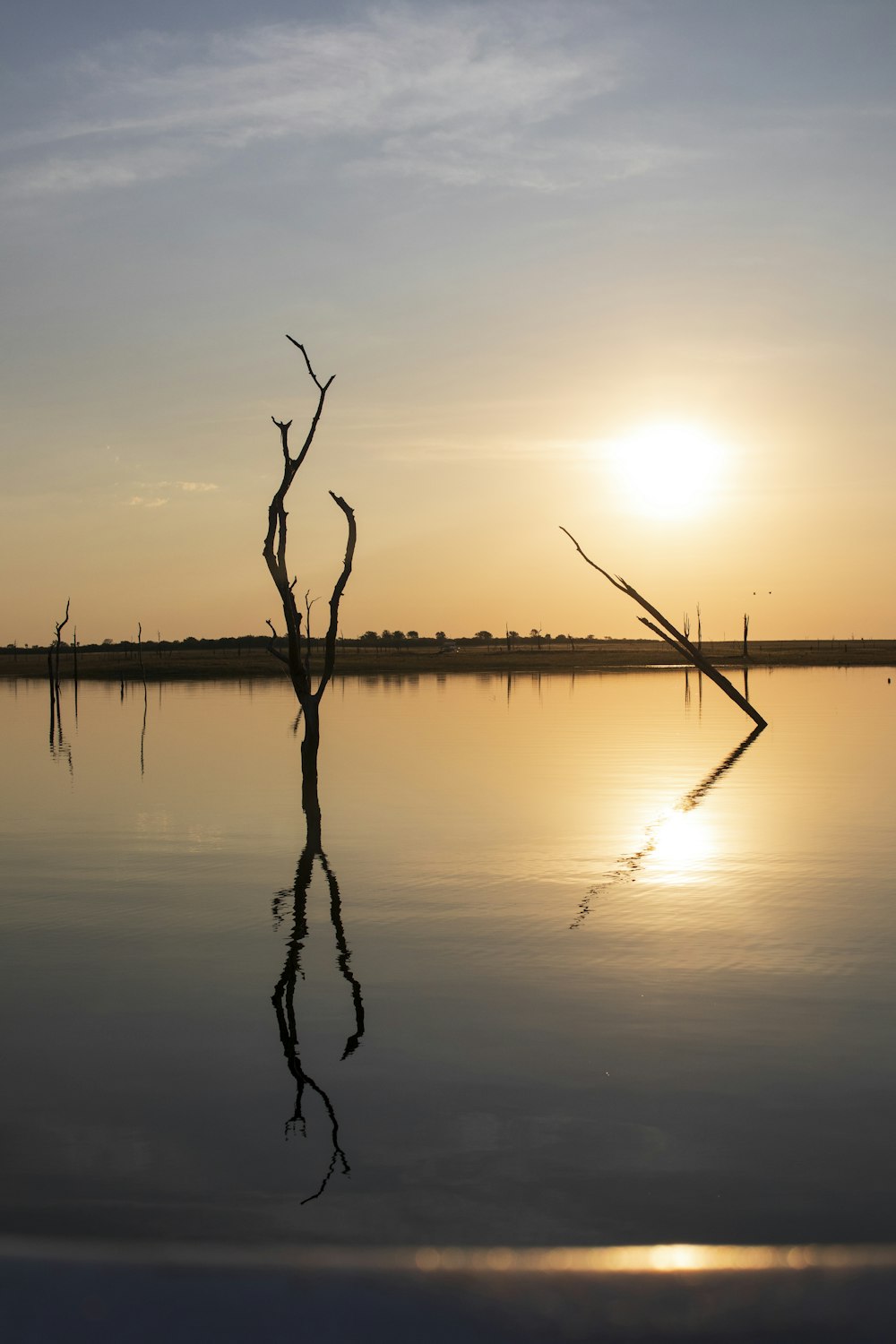 the sun is setting over the water with a dead tree in the foreground
