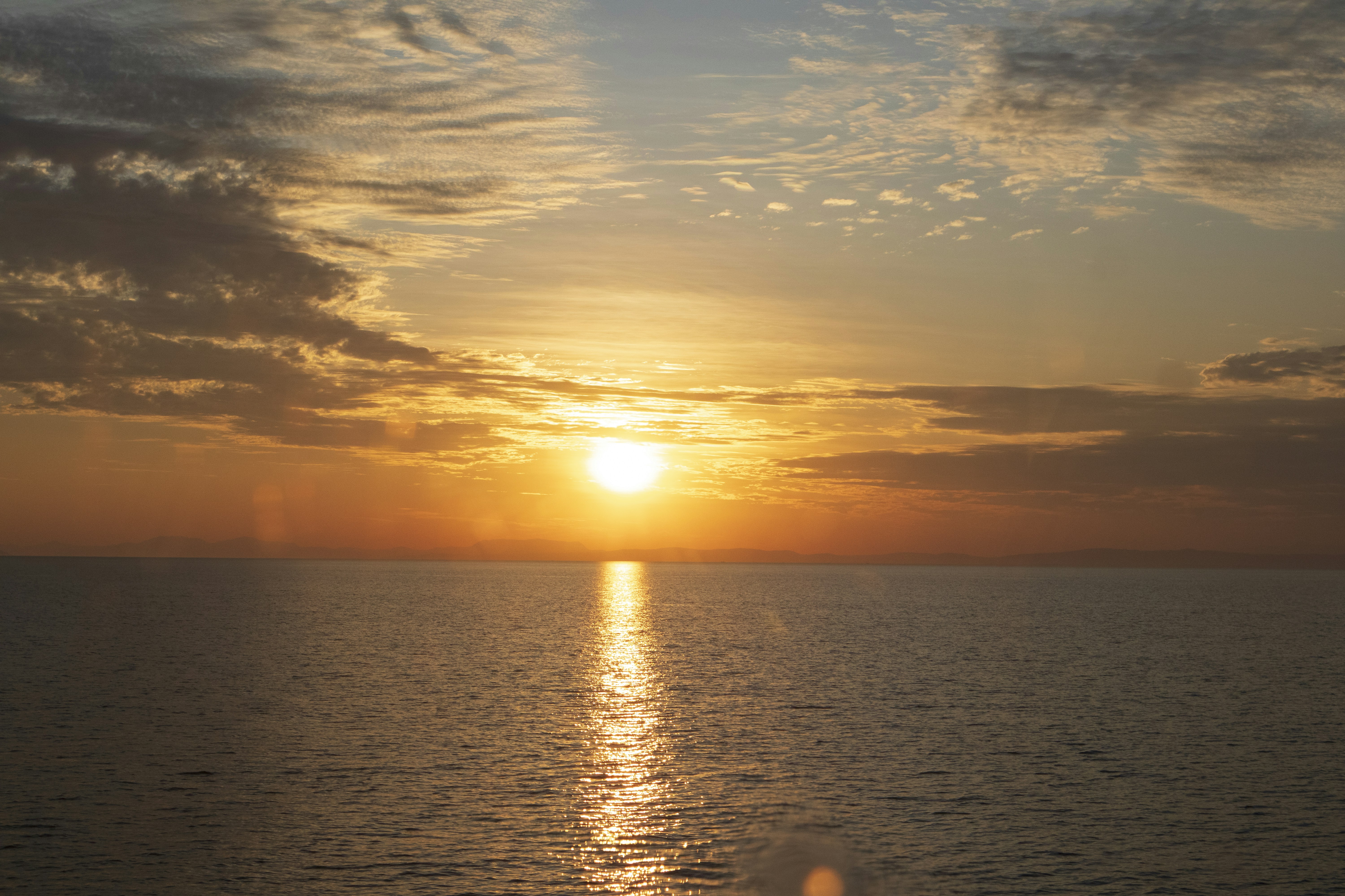 Photo by inspired_pup