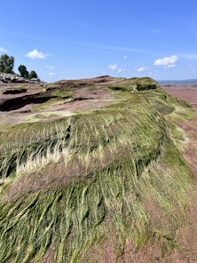 Scenic view of Brittany coastline where coralline algae thrive naturally.