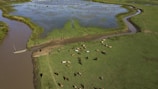 Wide shot of a river flowing through a large rural property with grazing livestock nearby.