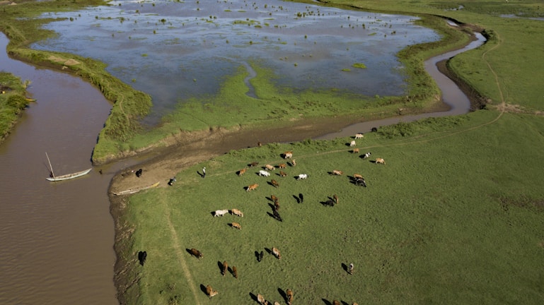 Wide shot of a river flowing through a large rural property with grazing livestock nearby.