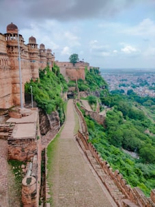 a view of a city from the top of a hill