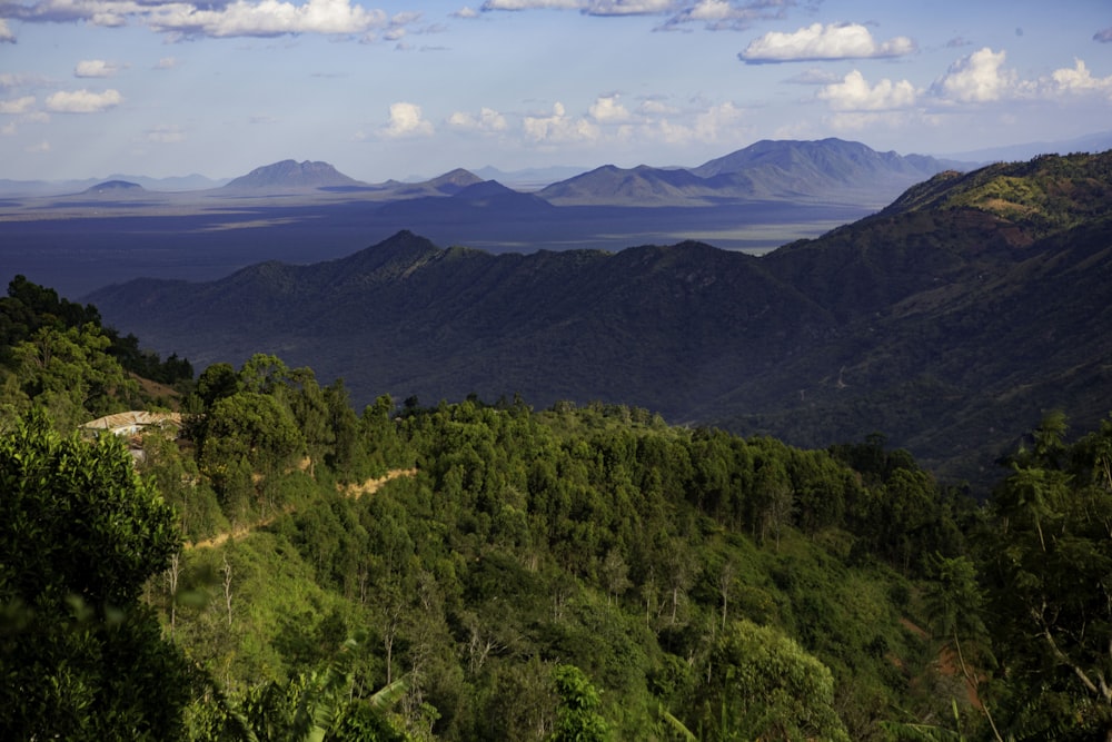 a view of a mountain range with trees and mountains in the background