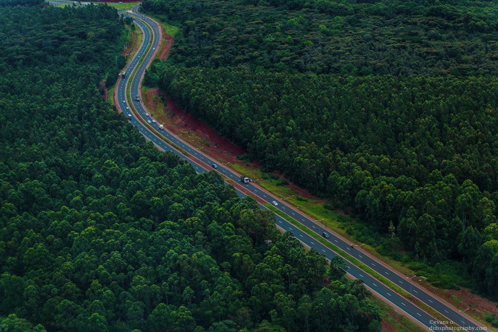 an aerial view of a highway in the middle of a forest