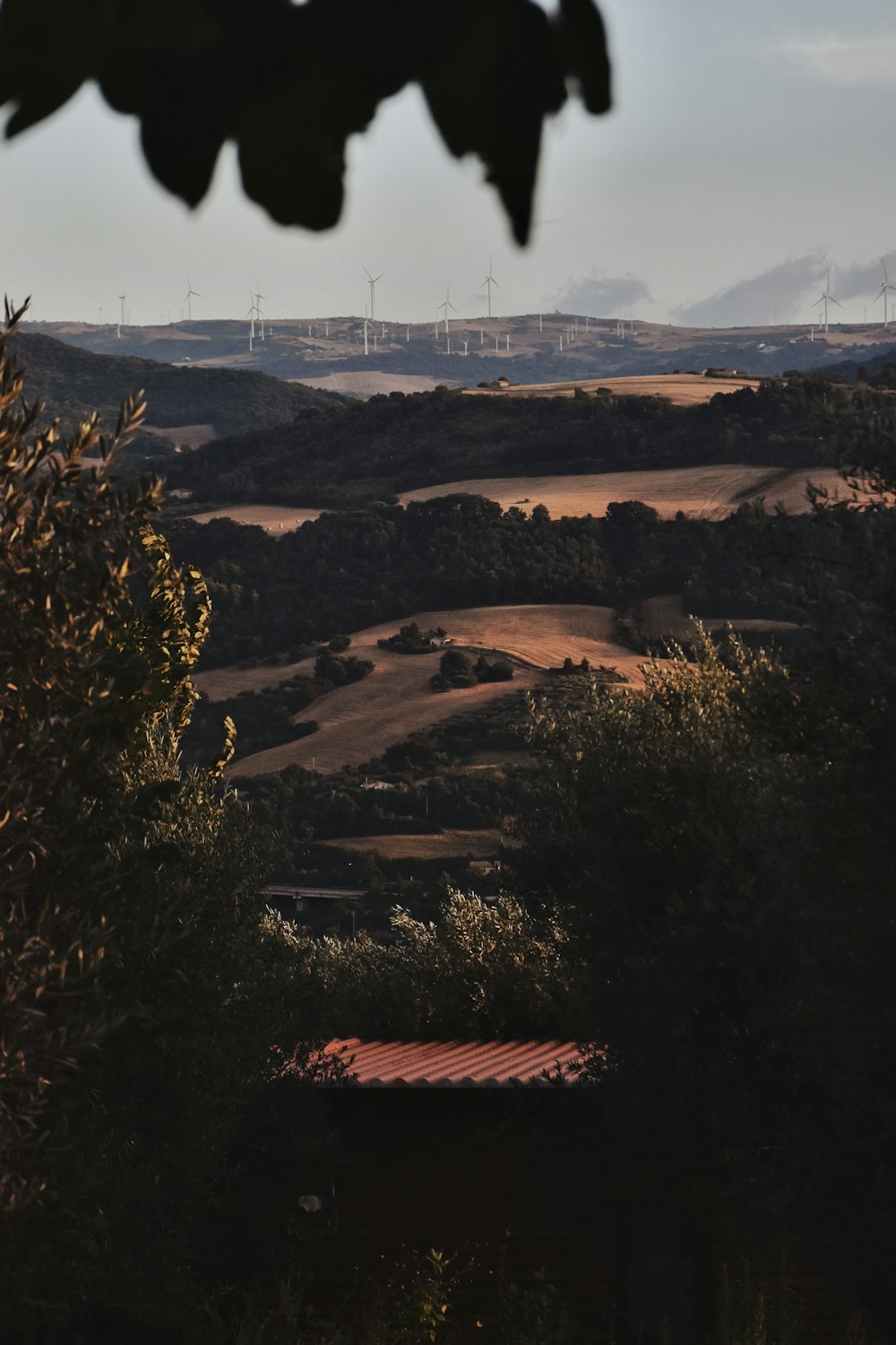 a view of a field with hills in the distance