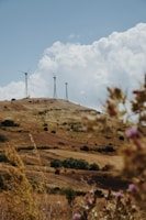 A landscape featuring rolling hills with patches of grass and shrubs under a partly cloudy sky. Three wind turbines are situated on the hilltop, indicating a rural area with renewable energy use. The foreground is out of focus with wild vegetation.