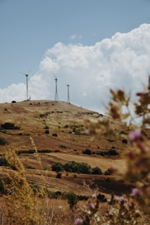A landscape featuring rolling hills with patches of grass and shrubs under a partly cloudy sky. Three wind turbines are situated on the hilltop, indicating a rural area with renewable energy use. The foreground is out of focus with wild vegetation.