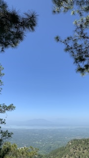 A scenic view of a lush green valley in Colombia with mountains in the background.