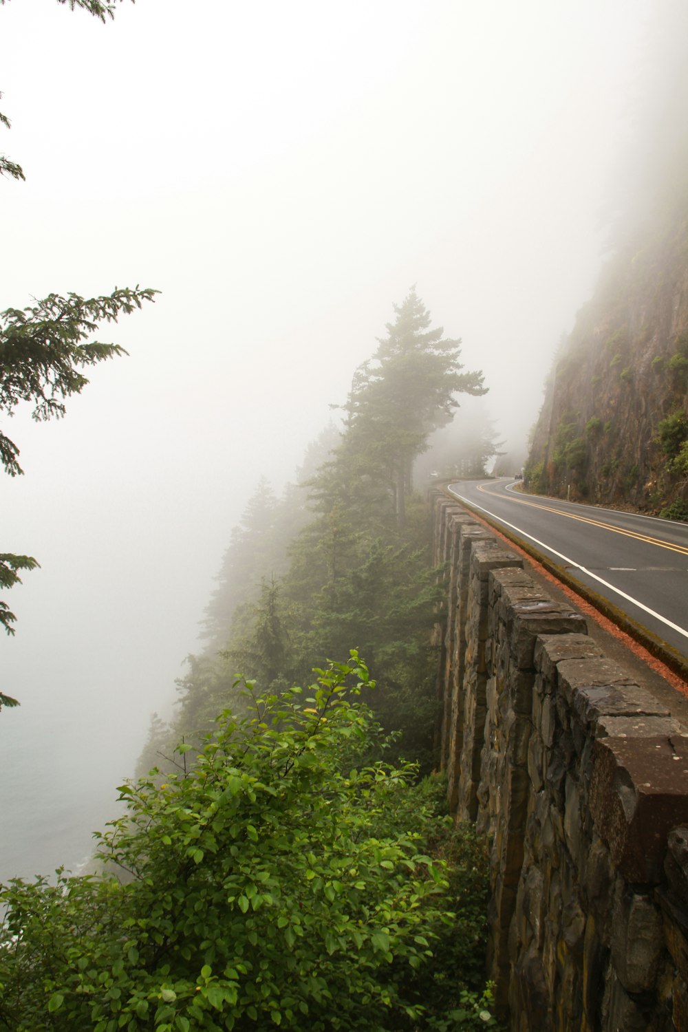 a foggy day on a road near a body of water