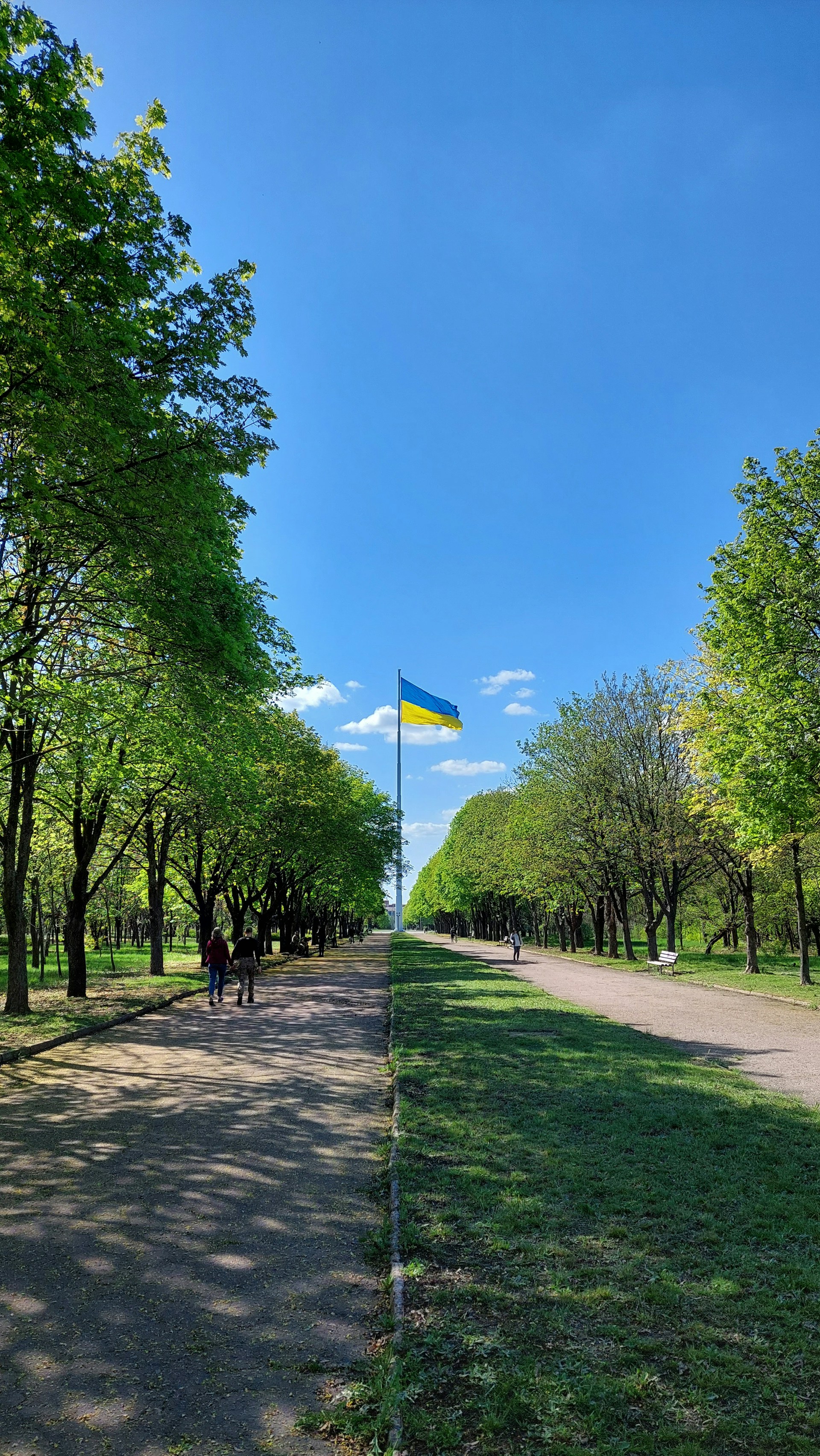 woman wearing yellow long-sleeved dress under white clouds and blue sky during daytime