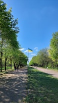 A path lined with tall green trees extends into the distance under a bright blue sky. A flagpole prominently displays the Ukrainian flag in the center. People are walking along the path, enjoying a sunny day.