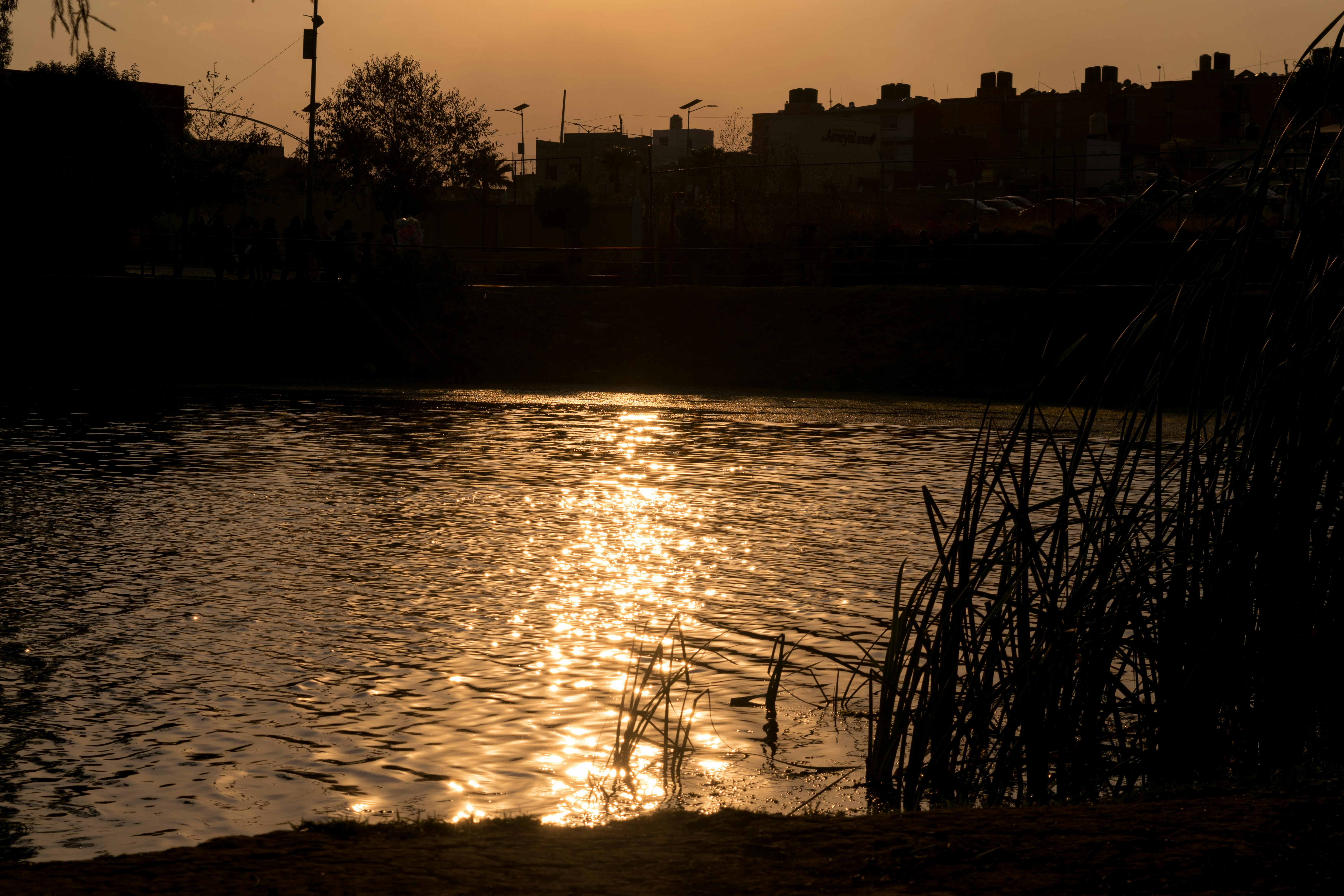 Photo by tuxlan