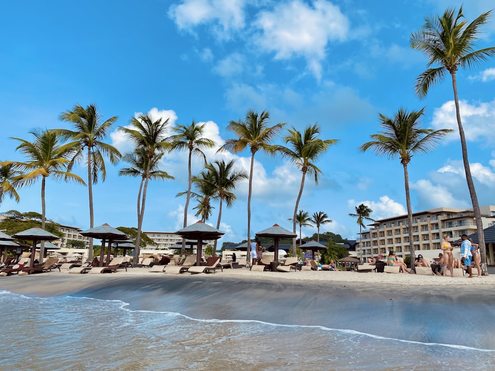 a beach with palm trees and people sitting under umbrellas