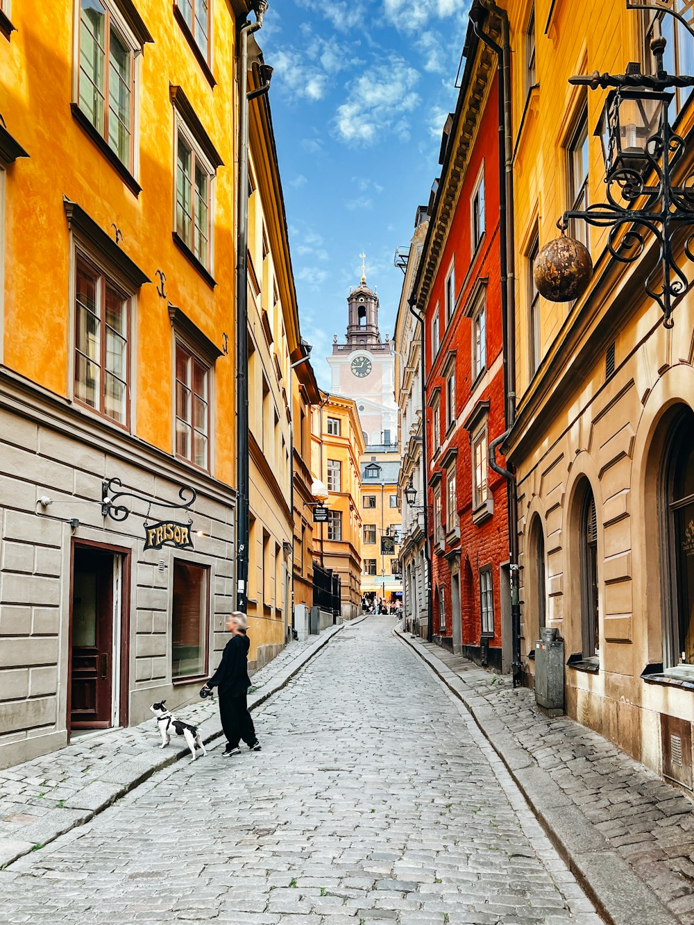 a person walking a dog down a cobblestone street