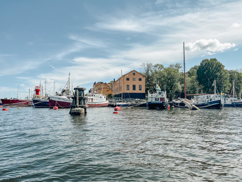 eine Gruppe von Booten, die im Wasser sitzen